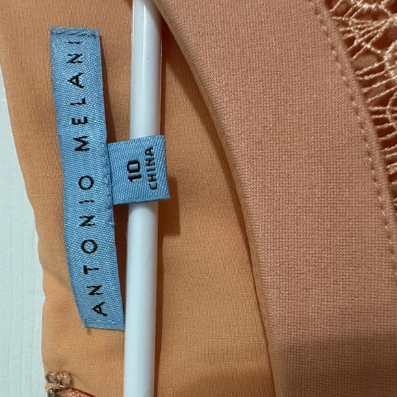 Antonio Melani Estelle Dress Size 10 Persimmon Sleeveless Sheath - Picture 5 of 9